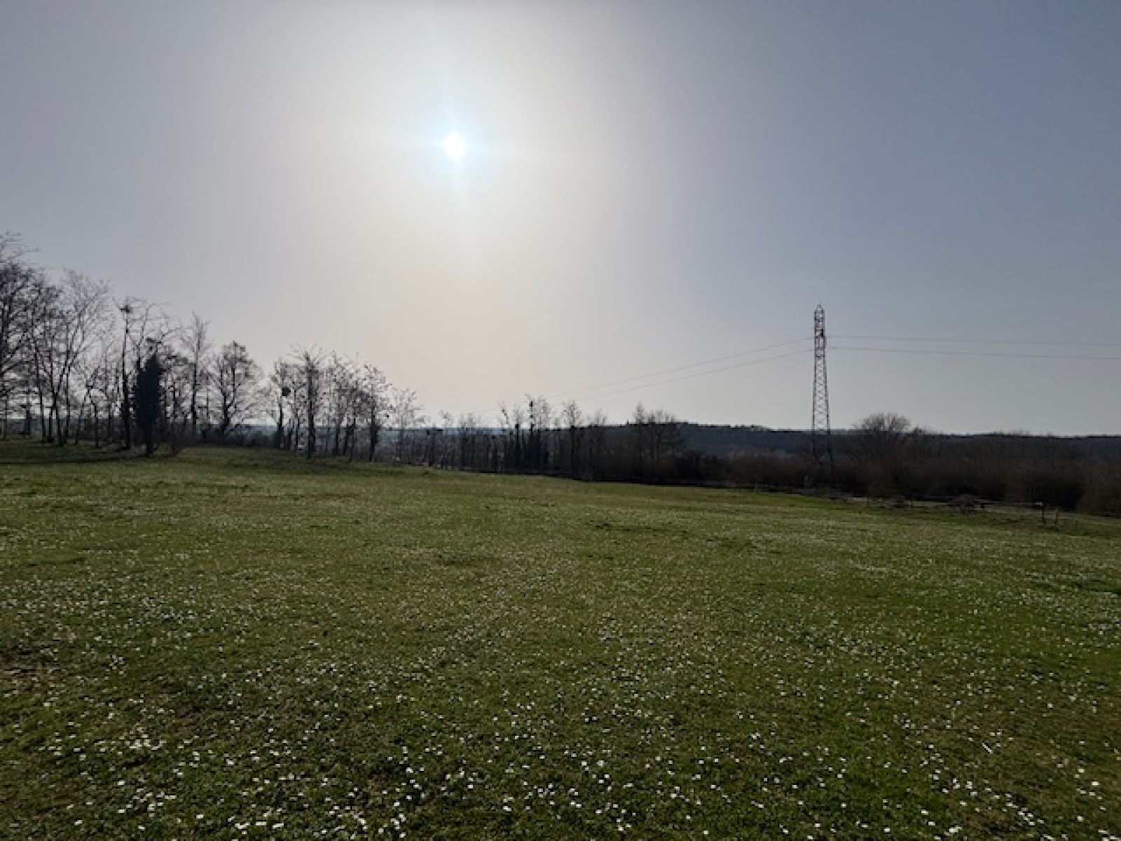 Image_, Terrain de loisir, Commercy, ref :183