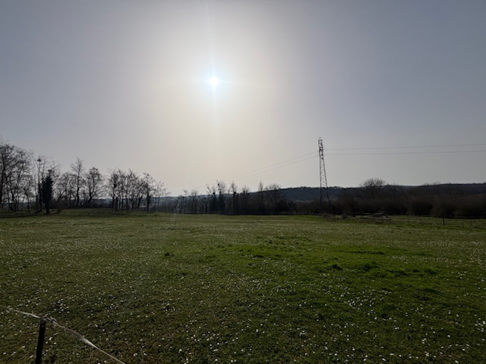 Image_, Terrain de loisir, Commercy, ref :183