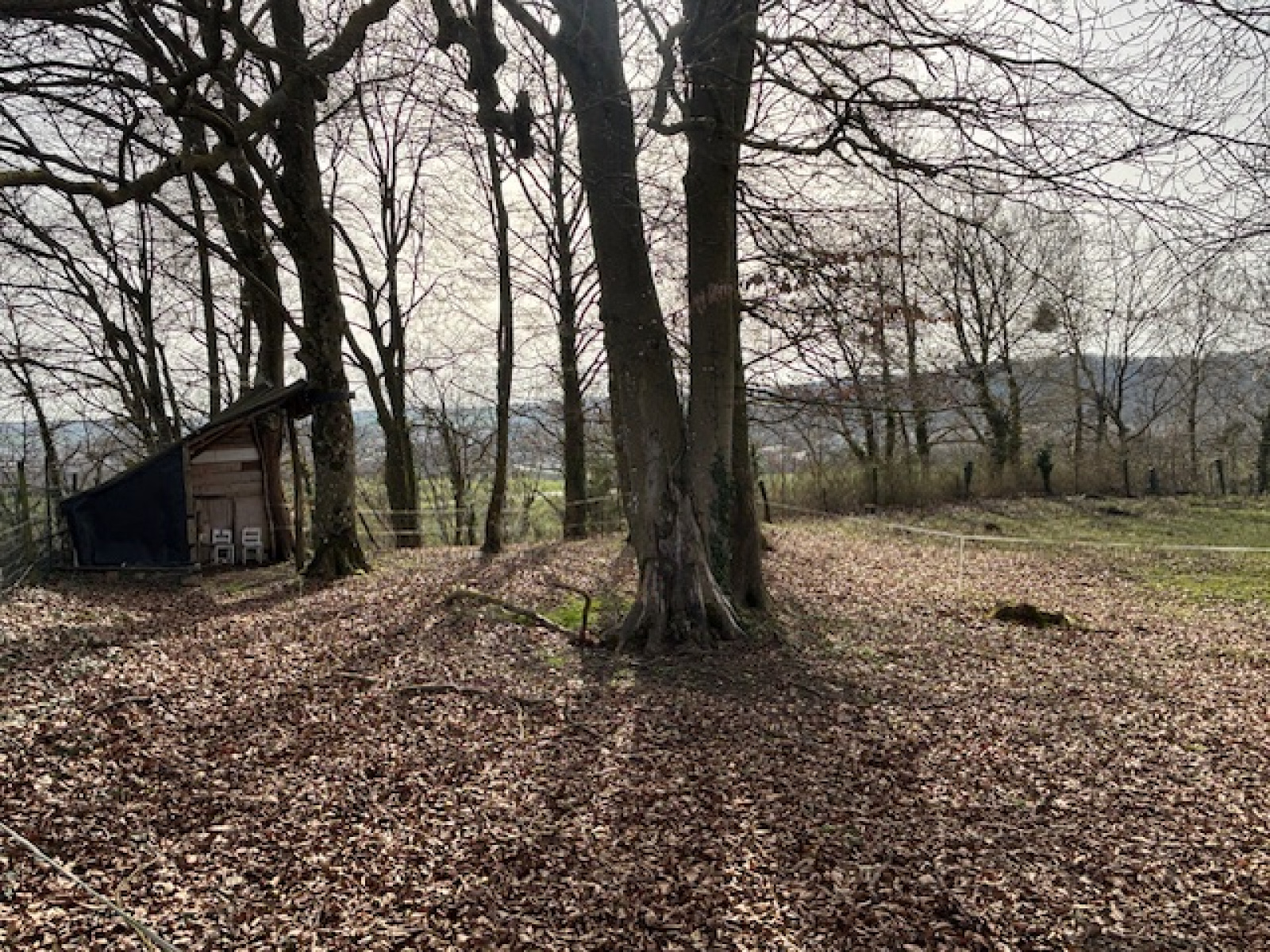 Image_, Terrain de loisir, Commercy, ref :183