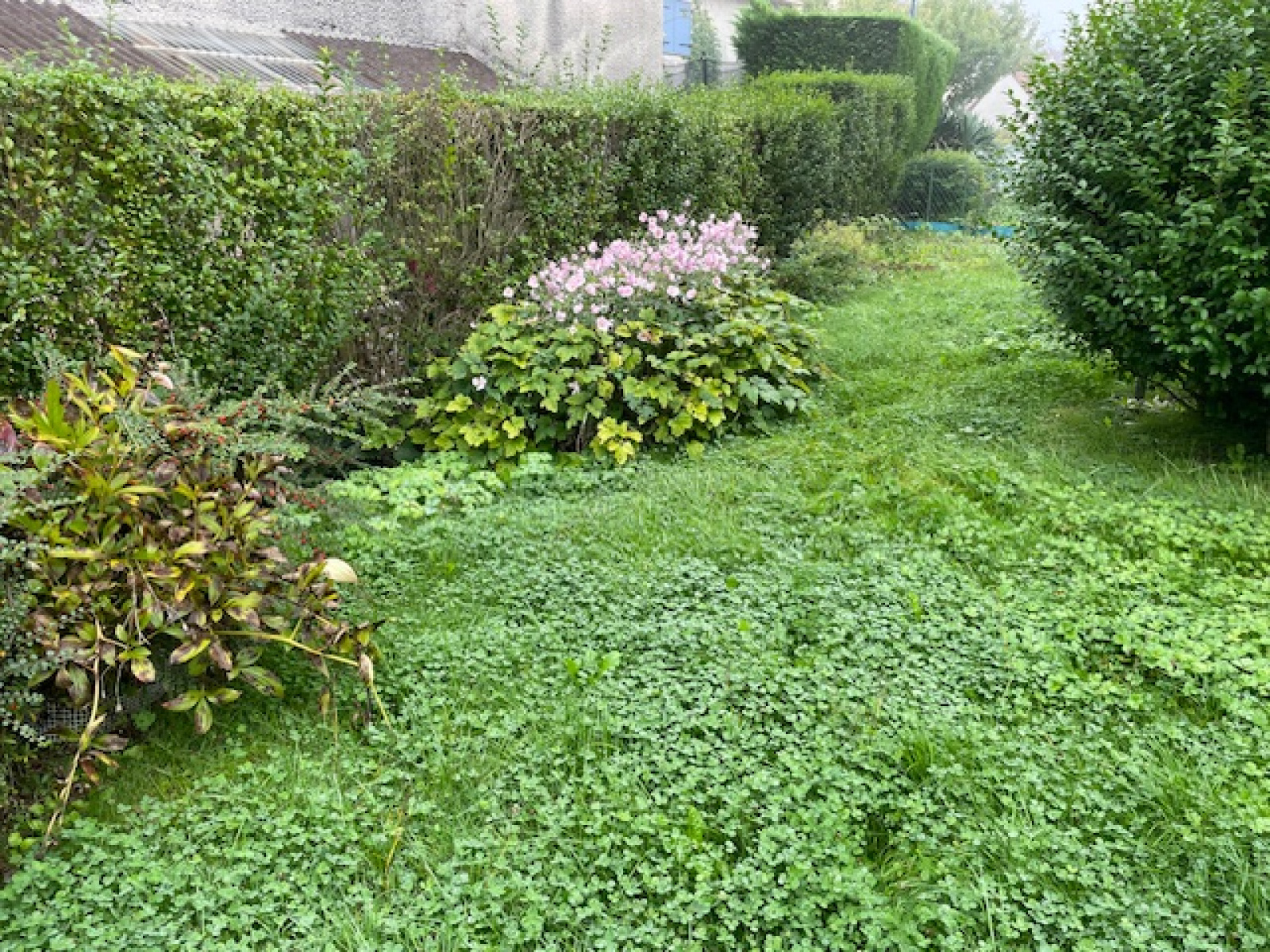 Image_, Maison, Ludres, ref :163