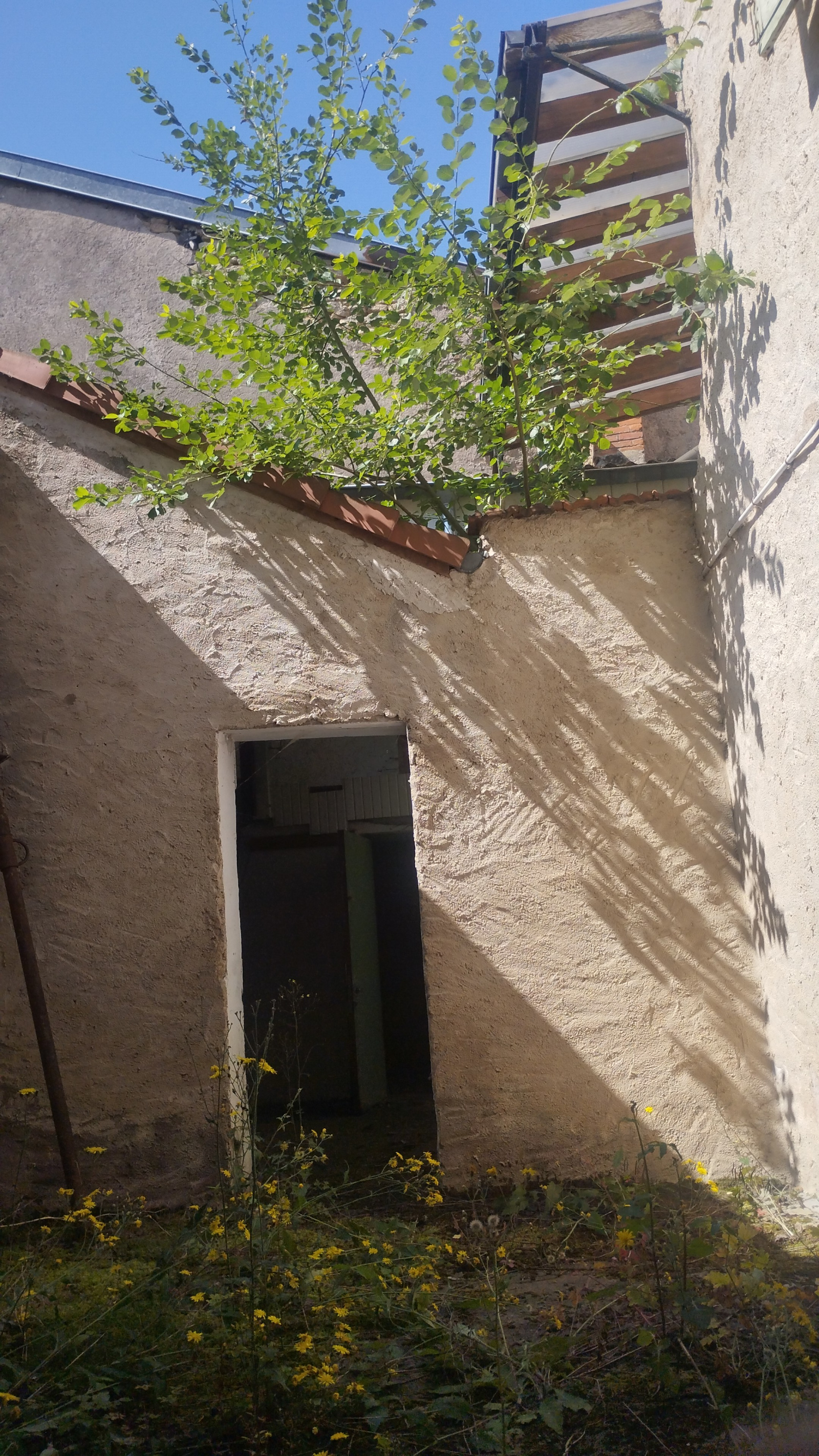 Image_, Maison de village, Thiaucourt-Regniéville, ref :149