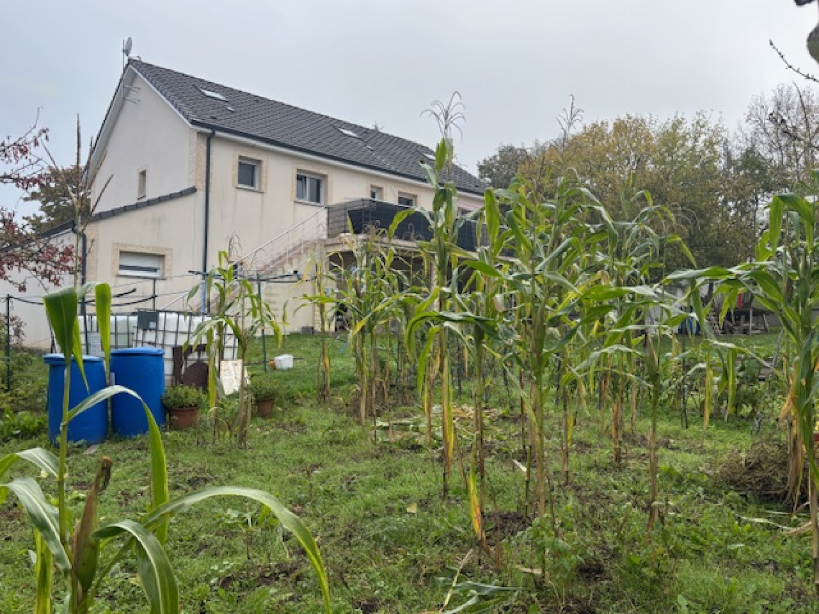 Image_, Maison, Commercy, ref :165