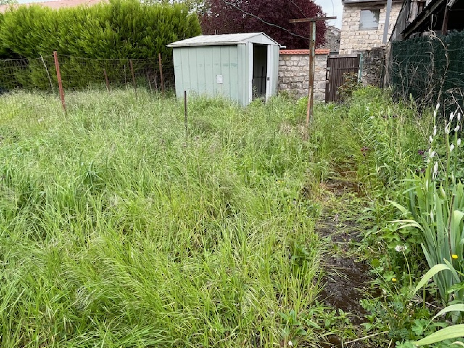 Image_, Maison, Vignot, ref :049