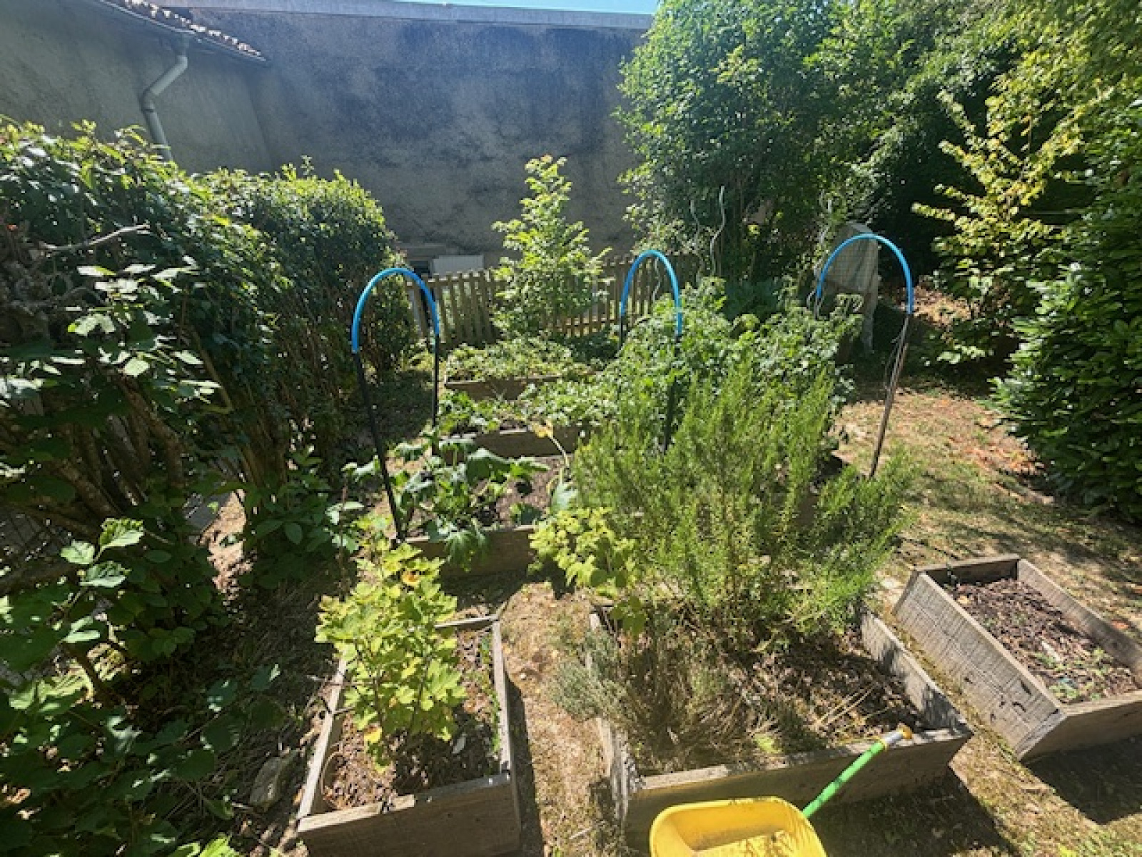 Image_, Maison, Commercy, ref :158
