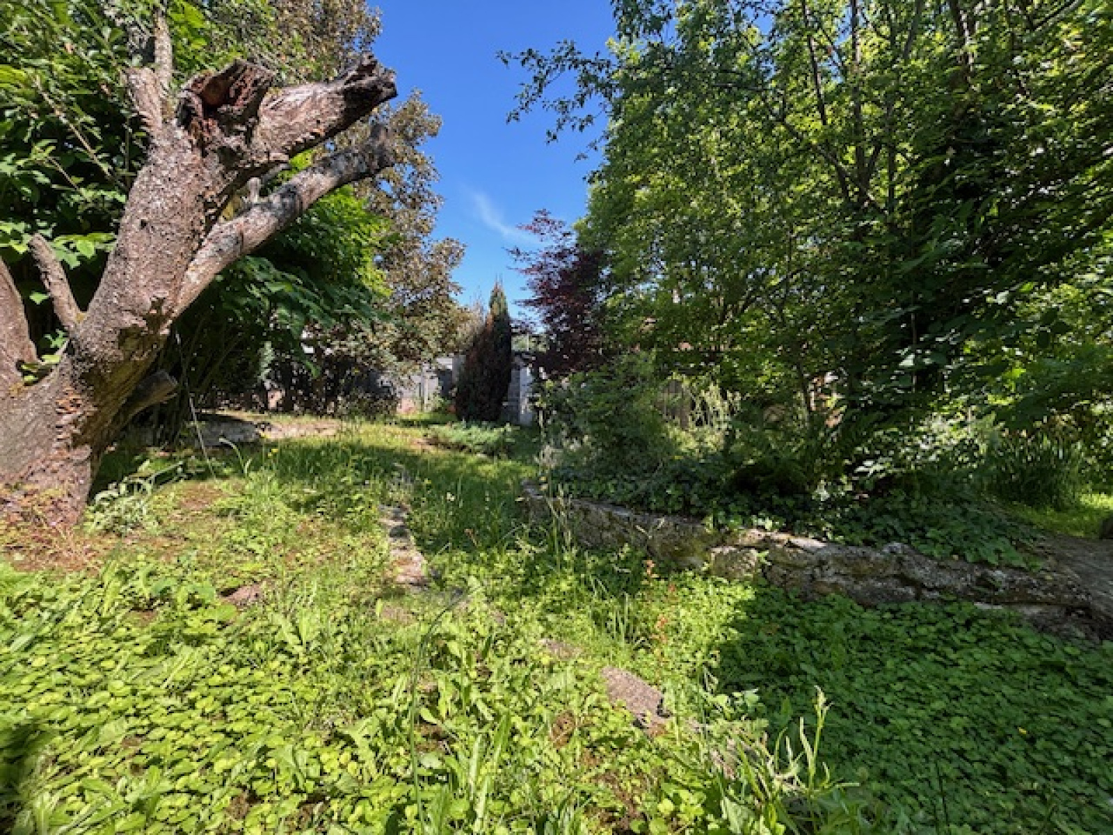 Image_, Maison, Saint-Nicolas-de-Port, ref :153