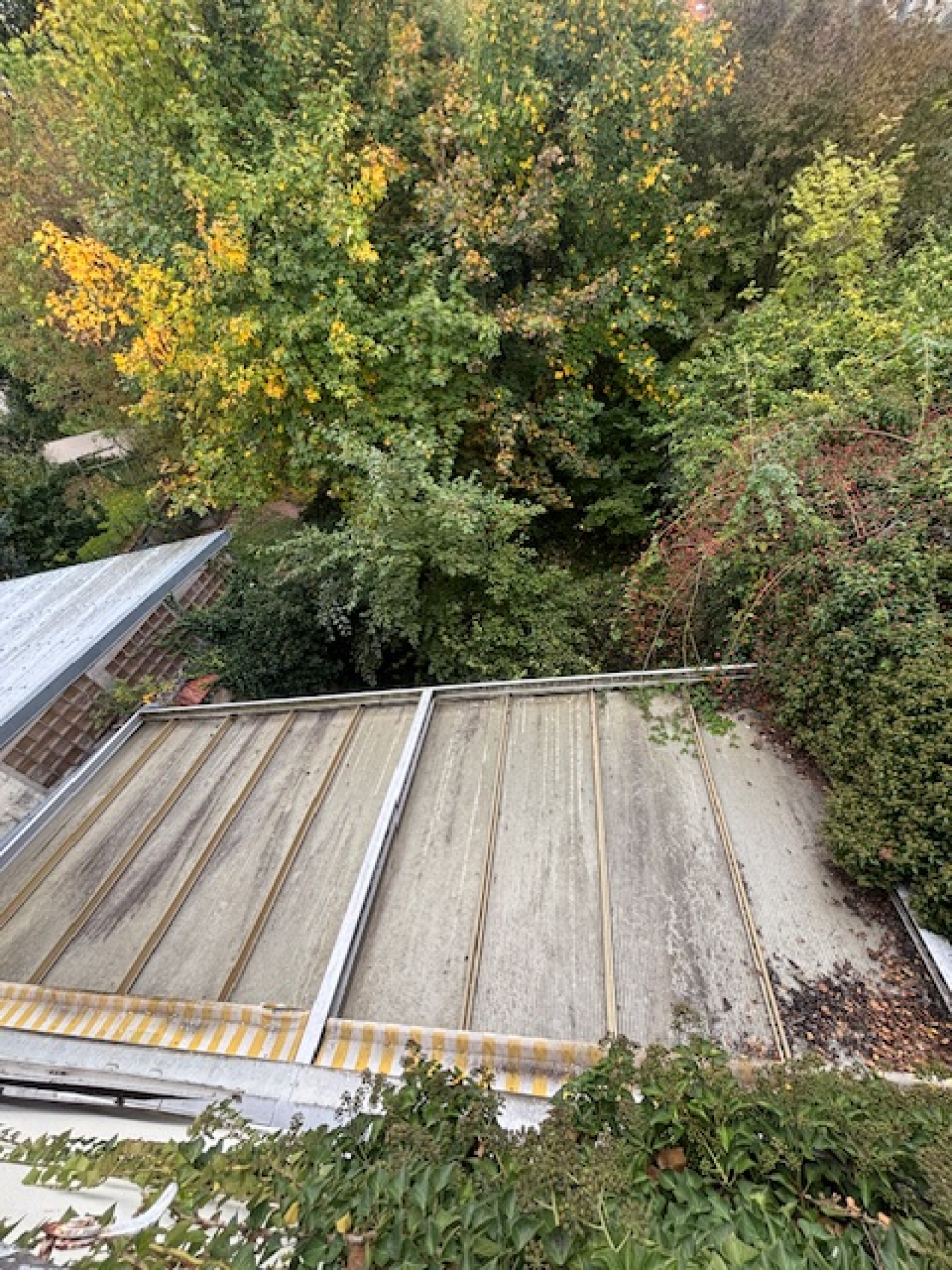 Image_, Maison, Commercy, ref :173