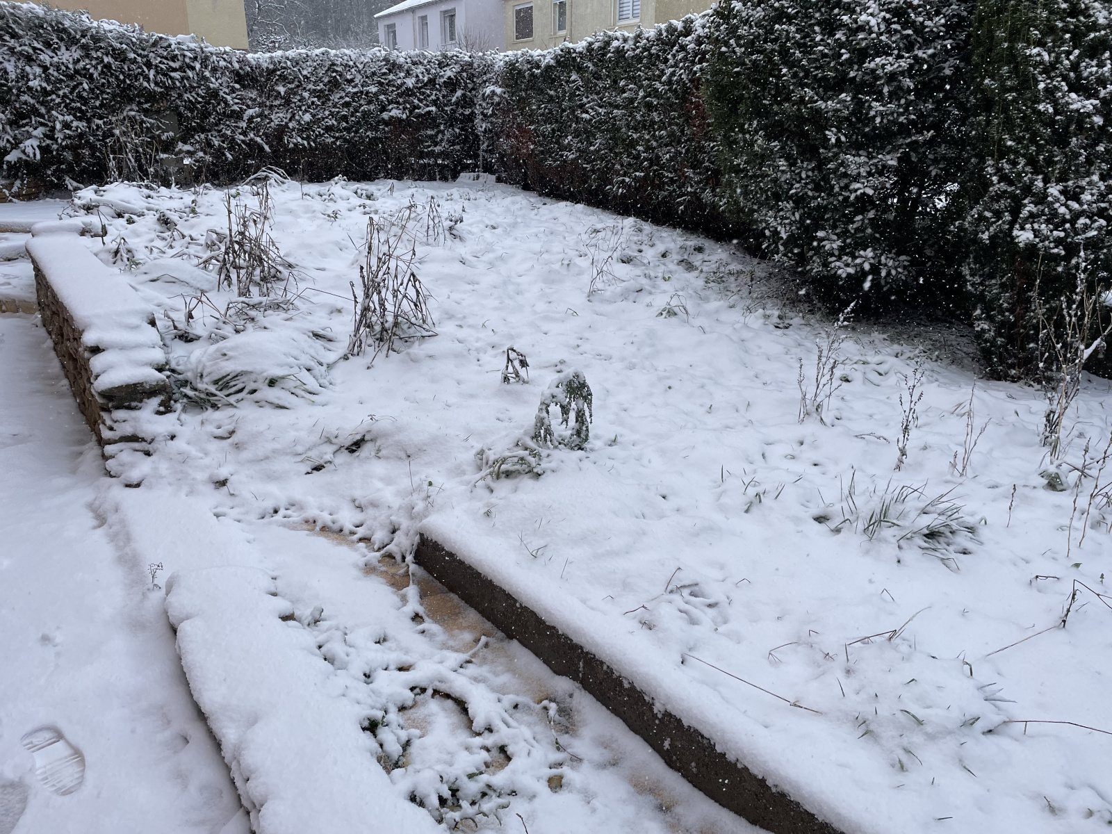 Image_, Maison, Villers-lès-Nancy, ref :156