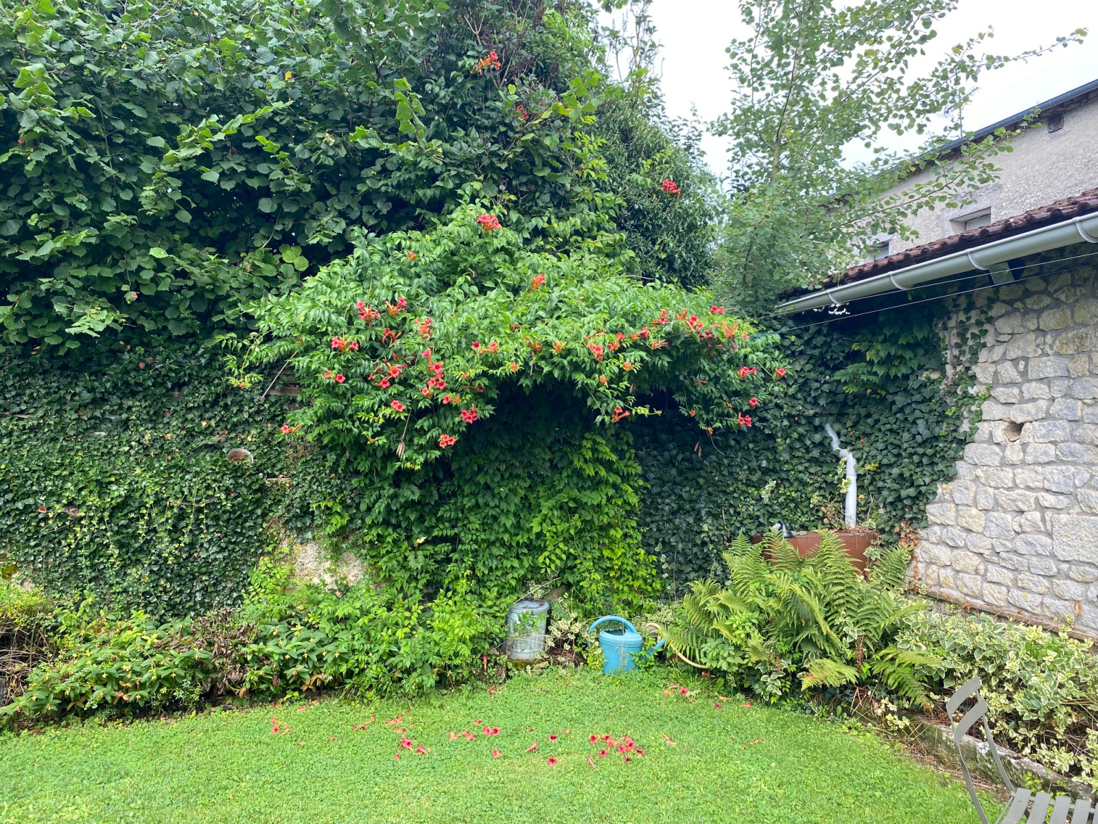 Image_, Maison, Commercy, ref :187