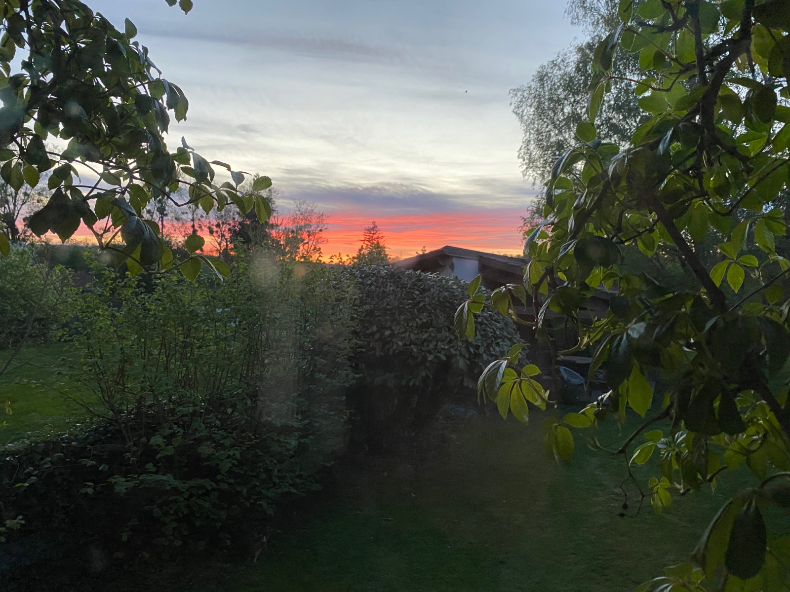 Image_, Maison, Commercy, ref :187